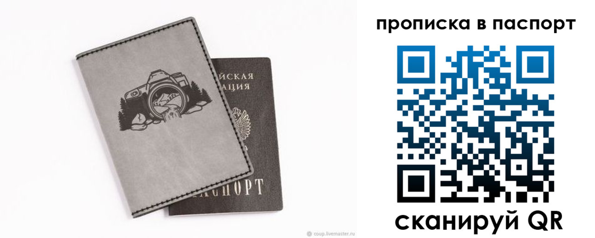 прописка для школы в Ленинградской области